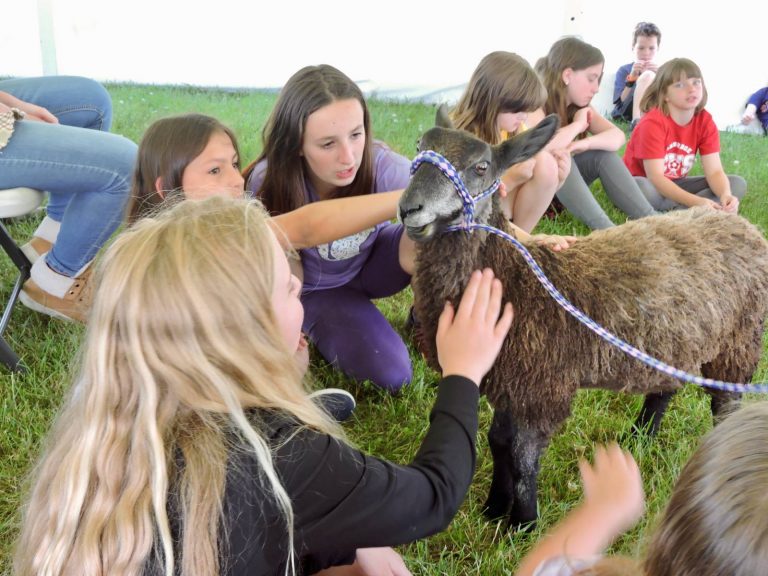 Humane Education Summer Camp North Country Animal League