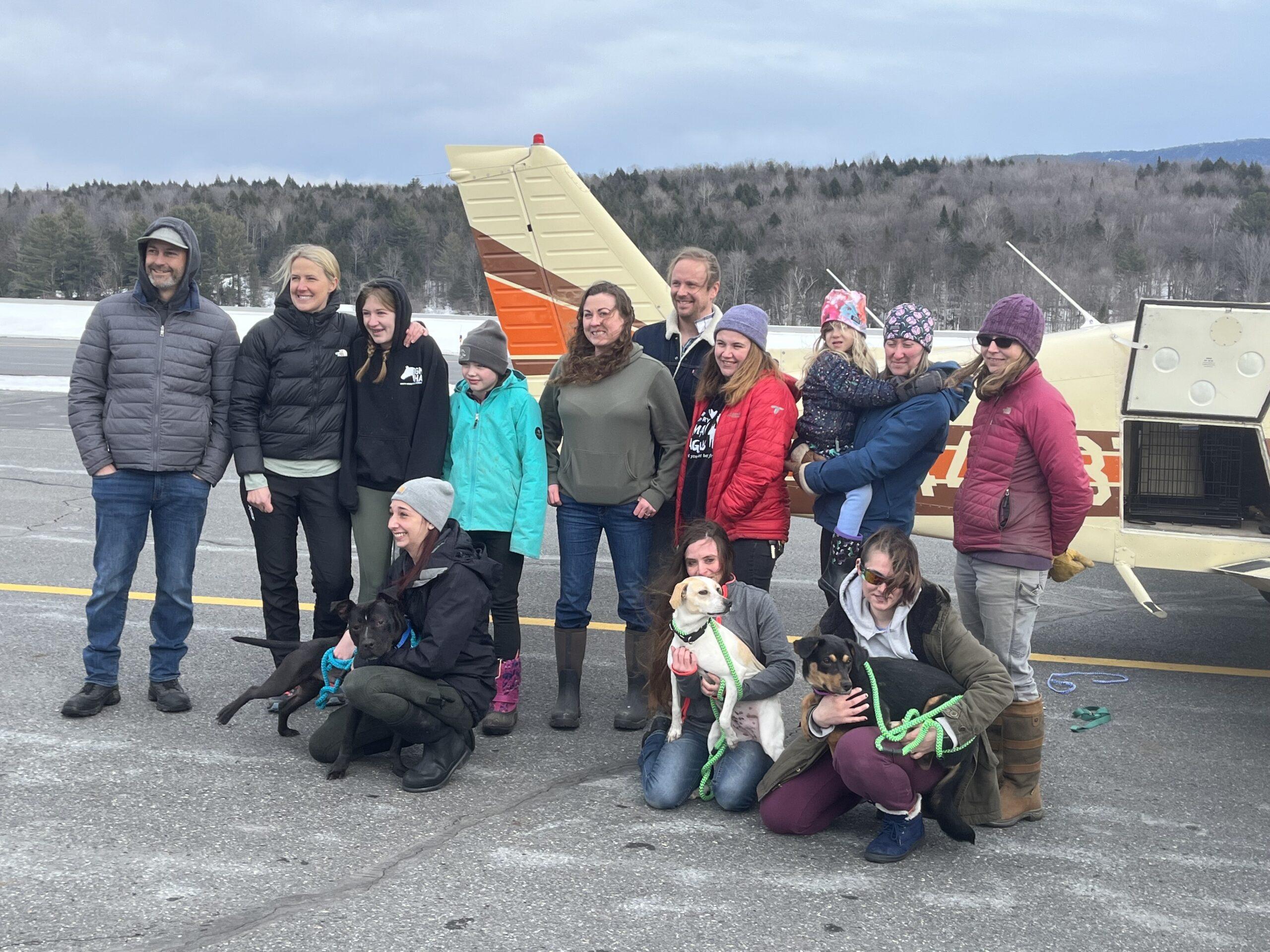 Freedom Flight Lands in Morrisville with Three Rescue Dogs North